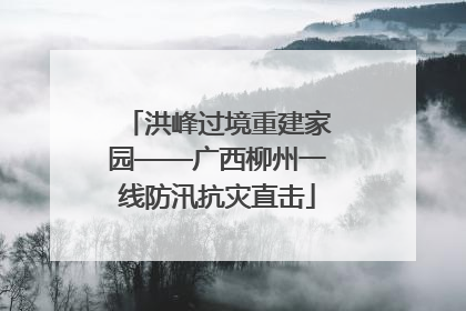 洪峰过境重建家园——广西柳州一线防汛抗灾直击