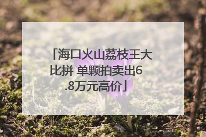 海口火山荔枝王大比拼 单颗拍卖出6.8万元高价