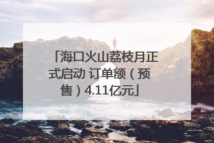 海口火山荔枝月正式启动 订单额（预售）4.11亿元