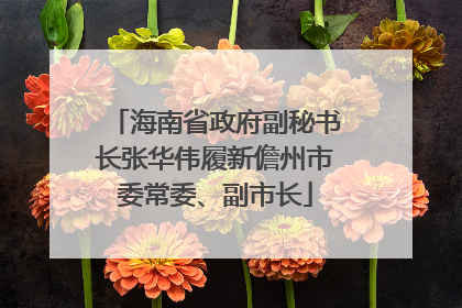 海南省政府副秘书长张华伟履新儋州市委常委、副市长