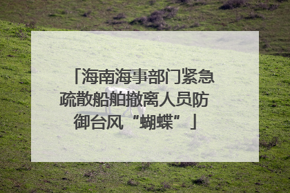 海南海事部门紧急疏散船舶撤离人员防御台风“蝴蝶”