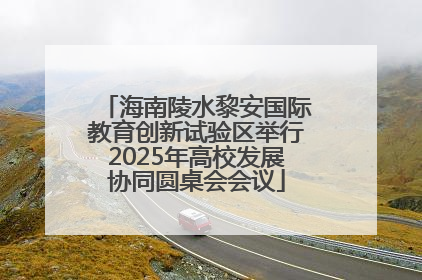 海南陵水黎安国际教育创新试验区举行2025年高校发展协同圆桌会会议