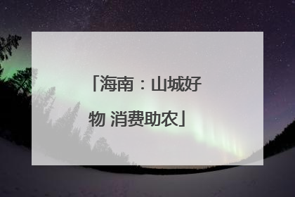 海南：山城好物 消费助农