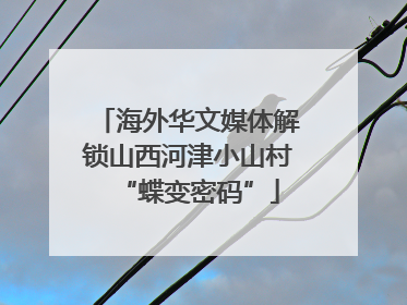 海外华文媒体解锁山西河津小山村“蝶变密码”