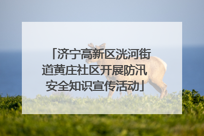 济宁高新区洸河街道黄庄社区开展防汛安全知识宣传活动