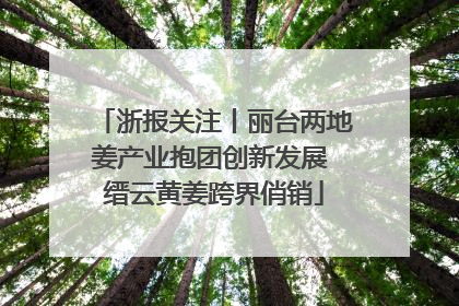 浙报关注丨丽台两地姜产业抱团创新发展 缙云黄姜跨界俏销