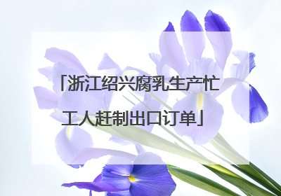 浙江绍兴腐乳生产忙 工人赶制出口订单
