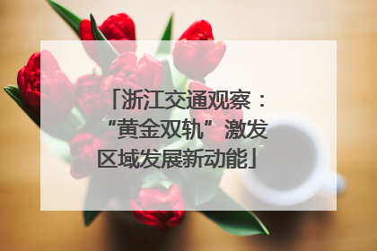 浙江交通观察：“黄金双轨”激发区域发展新动能