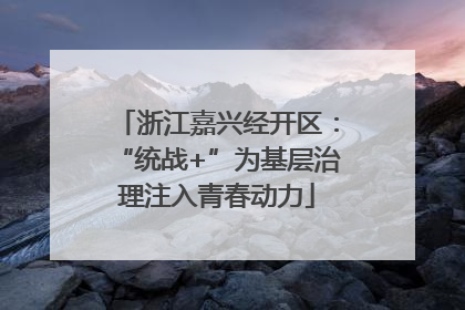 浙江嘉兴经开区：“统战+”为基层治理注入青春动力