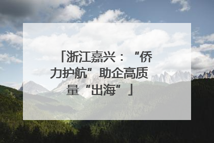 浙江嘉兴：“侨力护航”助企高质量“出海”