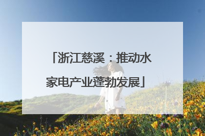 浙江慈溪：推动水家电产业蓬勃发展