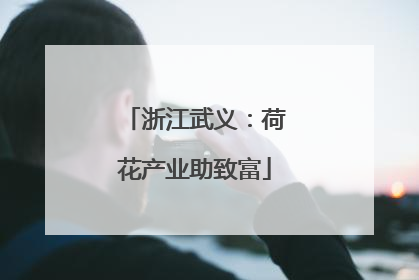 浙江武义：荷花产业助致富