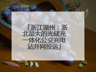 浙江湖州：浙北最大的光储充一体化公交充电站并网投运