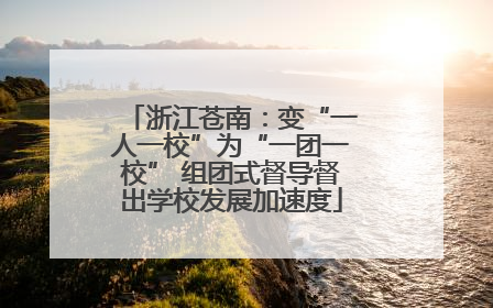 浙江苍南：变“一人一校”为“一团一校” 组团式督导督出学校发展加速度