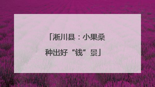 淅川县：小果桑种出好“钱”景