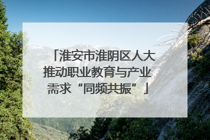 淮安市淮阴区人大推动职业教育与产业需求“同频共振”