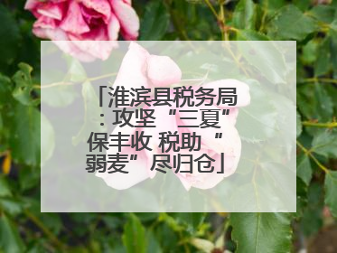 淮滨县税务局：攻坚“三夏”保丰收 税助“弱麦”尽归仓