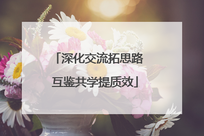 深化交流拓思路 互鉴共学提质效