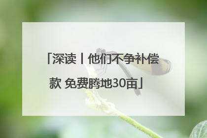 深读丨他们不争补偿款 免费腾地30亩