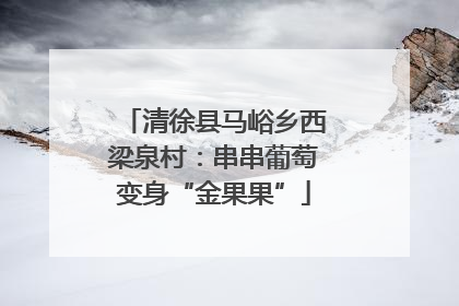 清徐县马峪乡西梁泉村：串串葡萄变身“金果果”