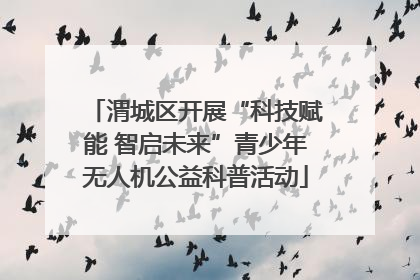 渭城区开展“科技赋能 智启未来”青少年无人机公益科普活动