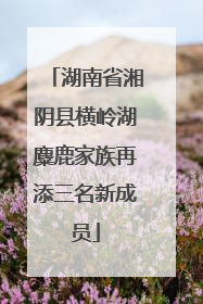 湖南省湘阴县横岭湖麋鹿家族再添三名新成员