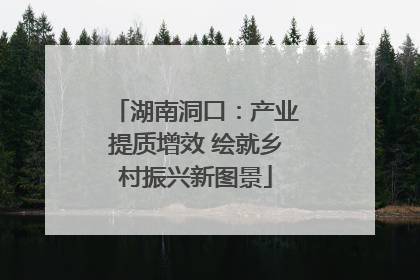 湖南洞口：产业提质增效 绘就乡村振兴新图景