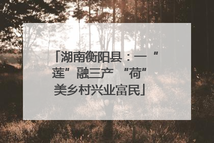 湖南衡阳县：一“莲”融三产 “荷”美乡村兴业富民