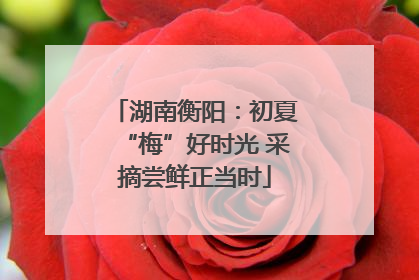 湖南衡阳：初夏“梅”好时光 采摘尝鲜正当时