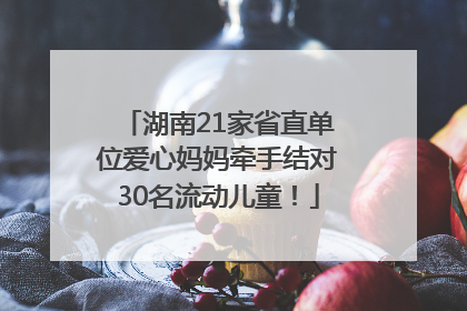 湖南21家省直单位爱心妈妈牵手结对30名流动儿童！