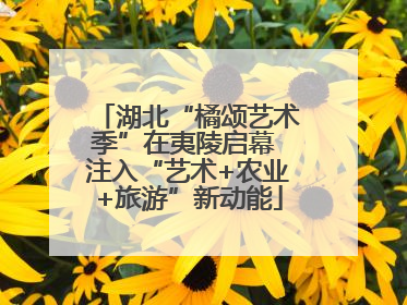 湖北“橘颂艺术季”在夷陵启幕 注入“艺术+农业+旅游”新动能