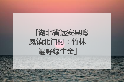 湖北省远安县鸣凤镇北门村：竹林遍野绿生金