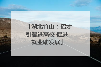 湖北竹山：招才引智进高校 促进就业助发展