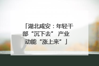 湖北咸安：年轻干部“沉下去” 产业动能“涨上来”