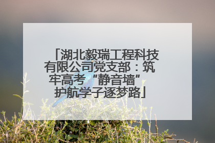 湖北毅瑞工程科技有限公司党支部：筑牢高考“静音墙” 护航学子逐梦路