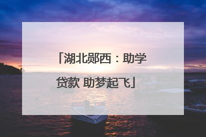 湖北郧西：助学贷款 助梦起飞