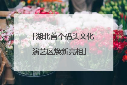 湖北首个码头文化演艺区焕新亮相