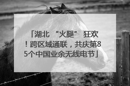 湖北 “火腿” 狂欢！跨区域通联，共庆第85个中国业余无线电节