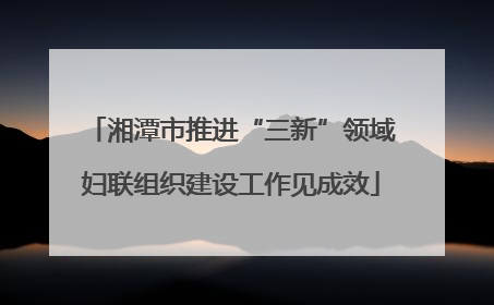 湘潭市推进“三新”领域妇联组织建设工作见成效