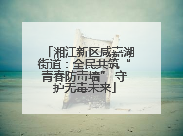 湘江新区咸嘉湖街道：全民共筑“青春防毒墙” 守护无毒未来