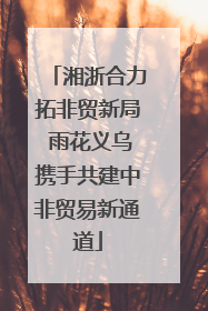 湘浙合力拓非贸新局 雨花义乌携手共建中非贸易新通道