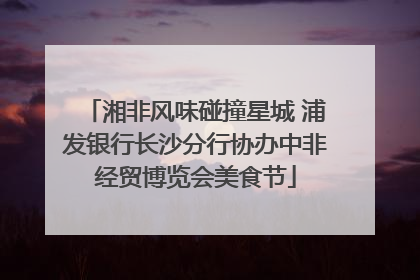湘非风味碰撞星城 浦发银行长沙分行协办中非经贸博览会美食节