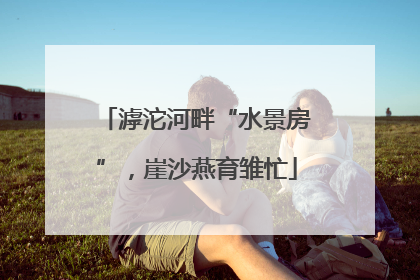 滹沱河畔“水景房”，崖沙燕育雏忙