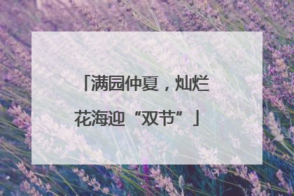 满园仲夏，灿烂花海迎“双节”