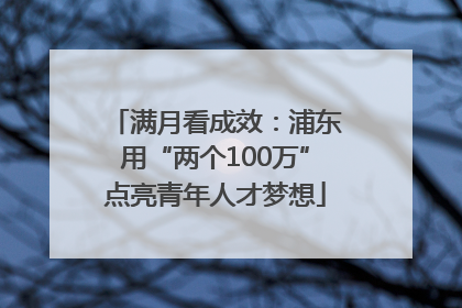 满月看成效：浦东用“两个100万”点亮青年人才梦想