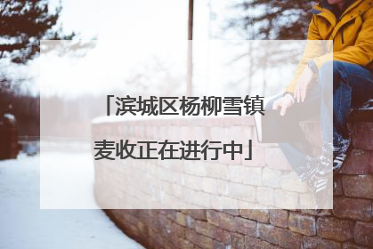 滨城区杨柳雪镇麦收正在进行中