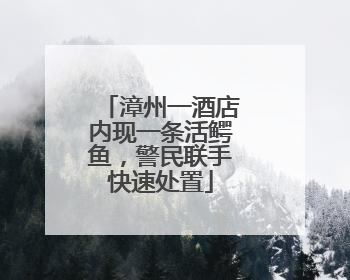 漳州一酒店内现一条活鳄鱼，警民联手快速处置