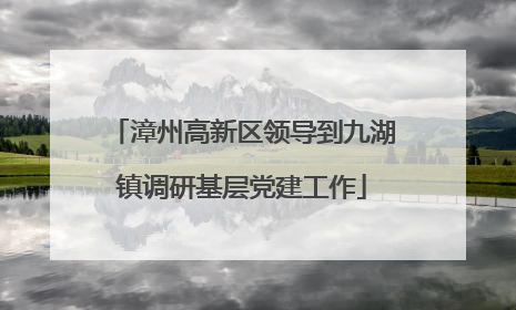 漳州高新区领导到九湖镇调研基层党建工作