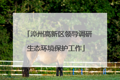 漳州高新区领导调研生态环境保护工作
