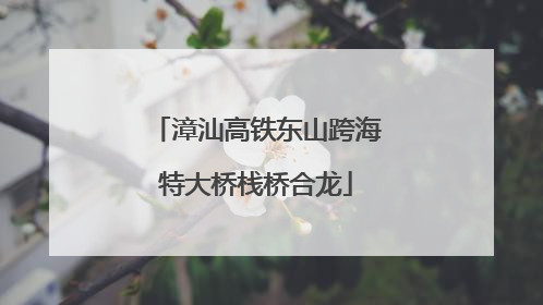 漳汕高铁东山跨海特大桥栈桥合龙